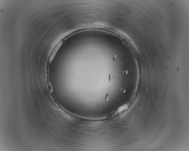 X0000072551184200607211351