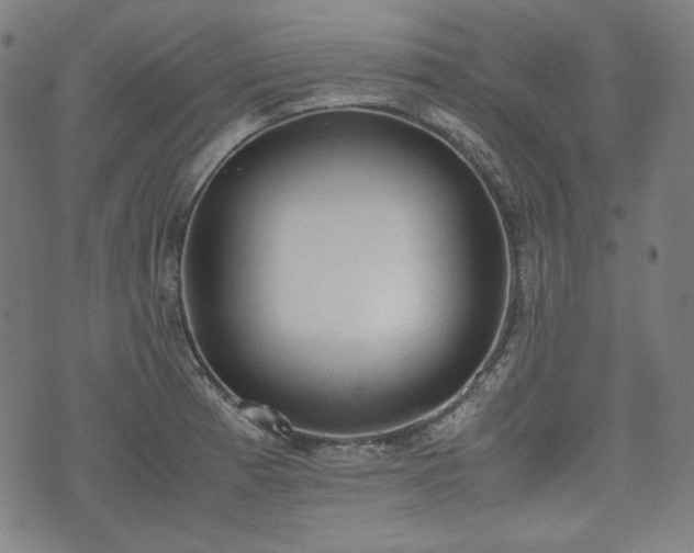 X0000072551185200607211351