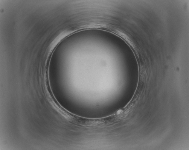 X0000072551187200607211351