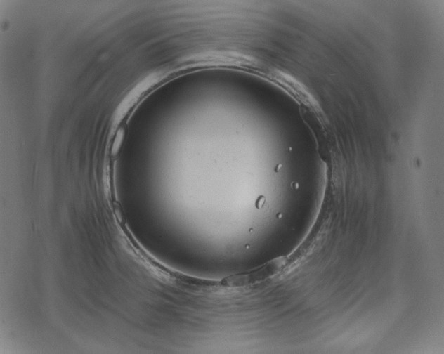 X0000072551188200607211351