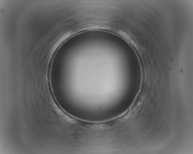 X0000072551189200607211351