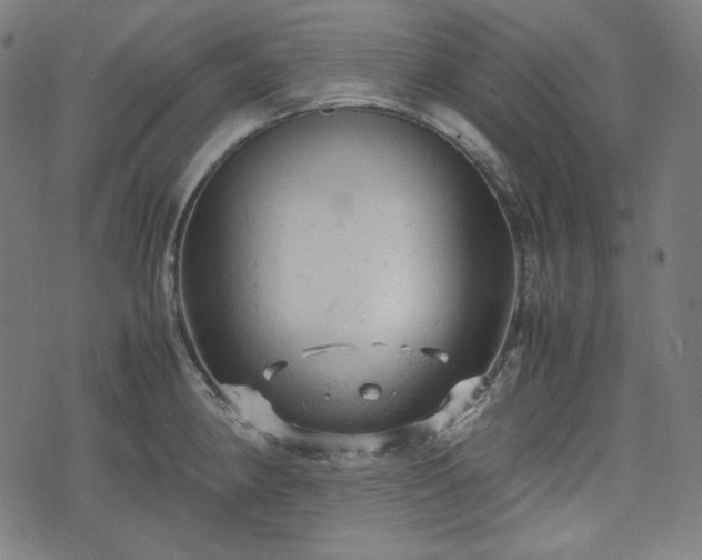 X0000072551190200607211351