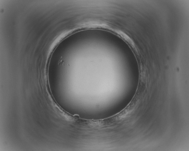 X0000072551191200607211351