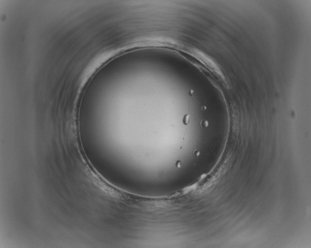 X0000072551192200607211351