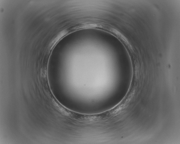 X0000072551193200607211351