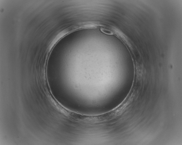 X0000072551194200607211351