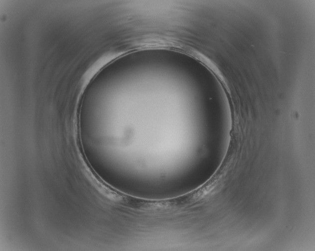 X0000072551195200607211351