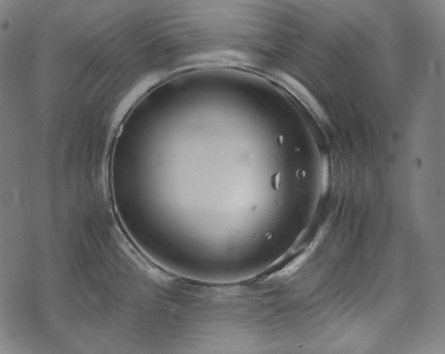 X0000072551196200607211351