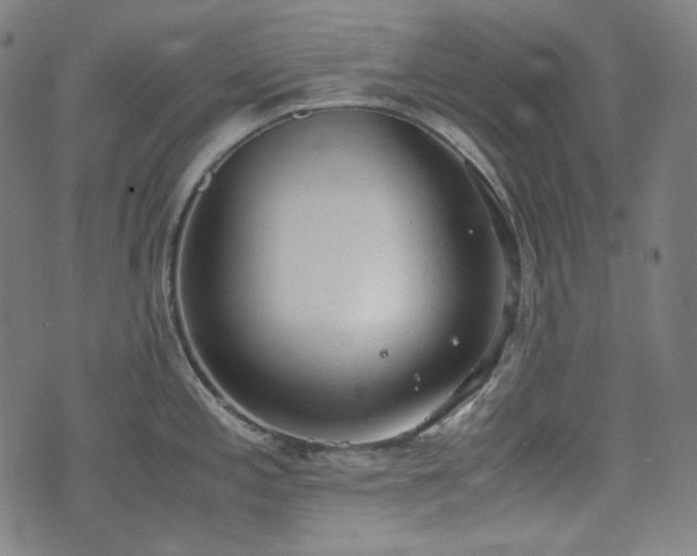 X0000072551197200607211351