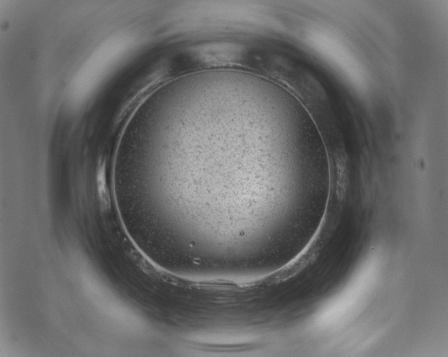 X0000072551198200607211351