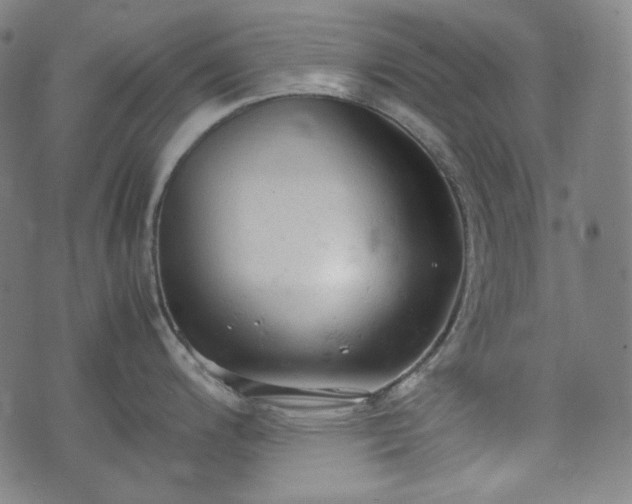 X0000072551200200607211351