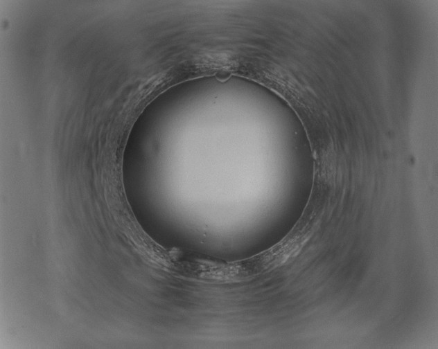 X0000072551201200607211350