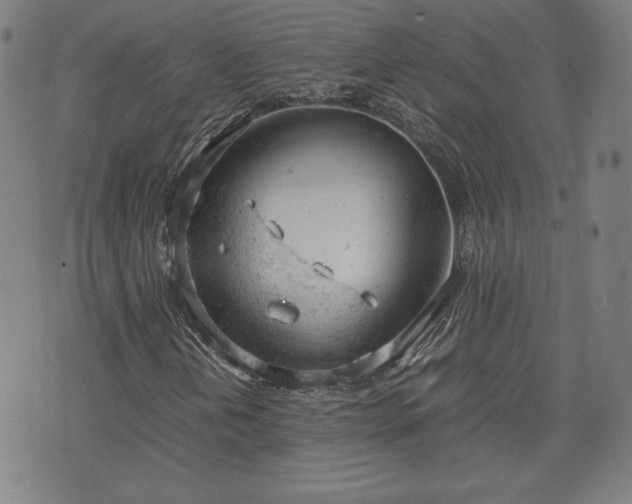 X0000072551202200607211350