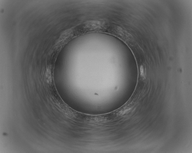 X0000072551203200607211350