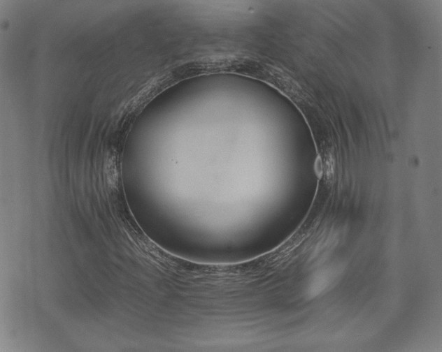 X0000072551204200607211350