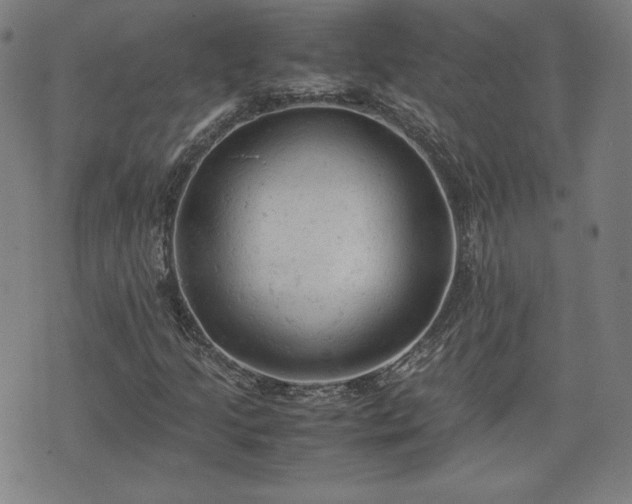 X0000072551205200607211350