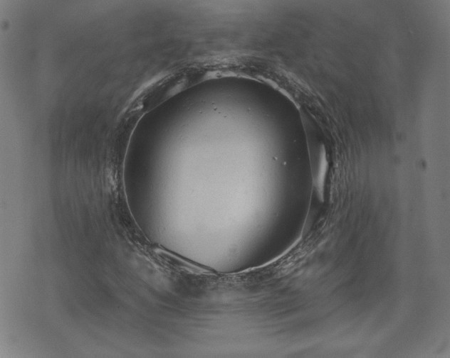 X0000072551206200607211350