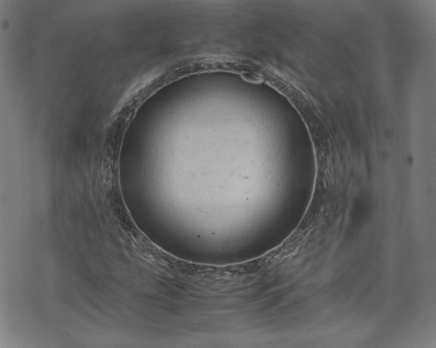 X0000072551207200607211350