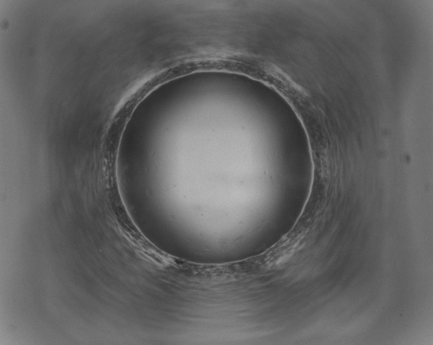 X0000072551208200607211350