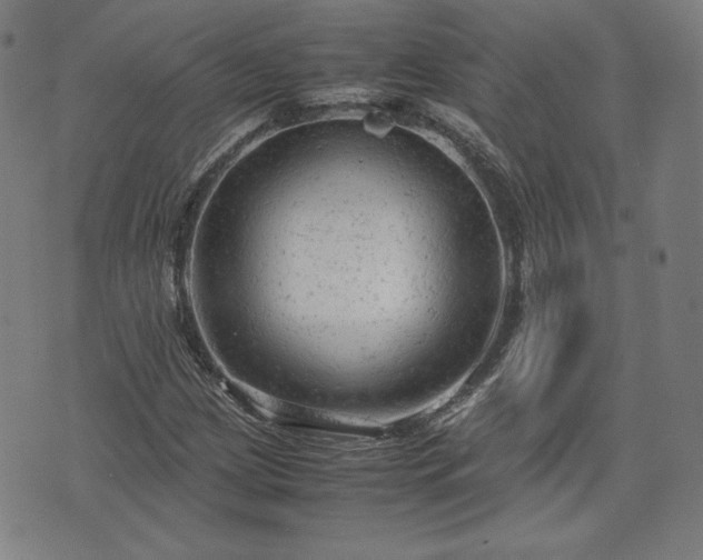 X0000072551209200607211350