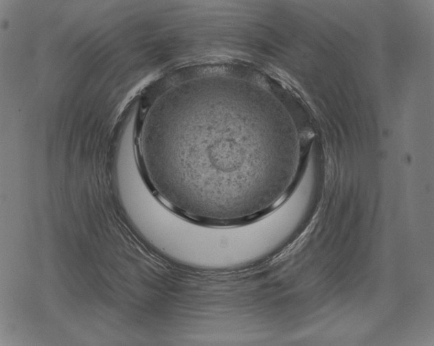 X0000072551210200607211351