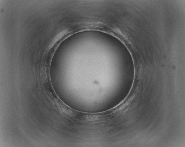 X0000072551211200607211351