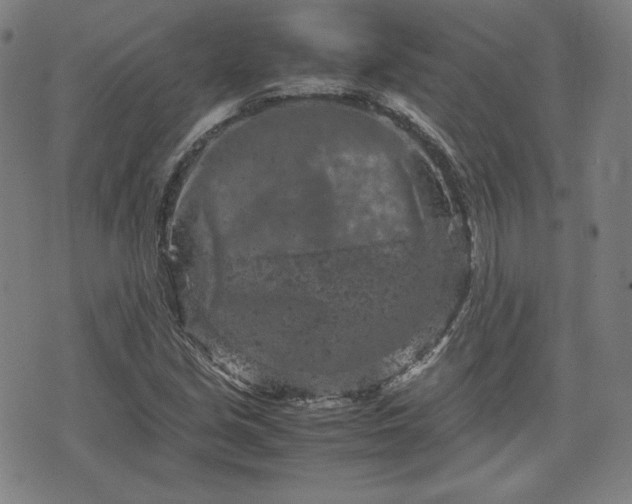 X0000072551213200607211351