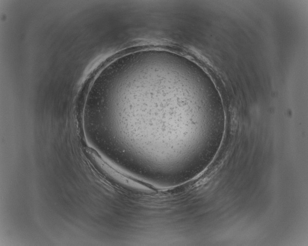 X0000072551215200607211351