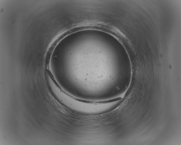 X0000072551216200607211351