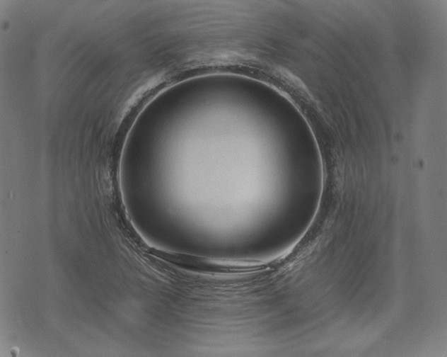 X0000072551218200607211351