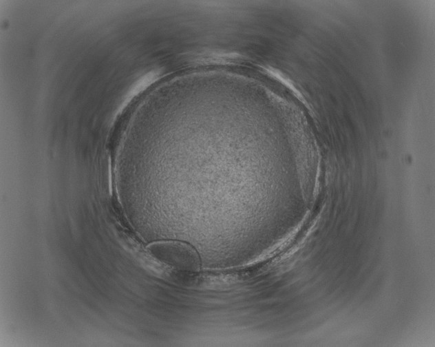 X0000072551219200607211351