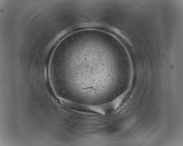 X0000072551221200607211351