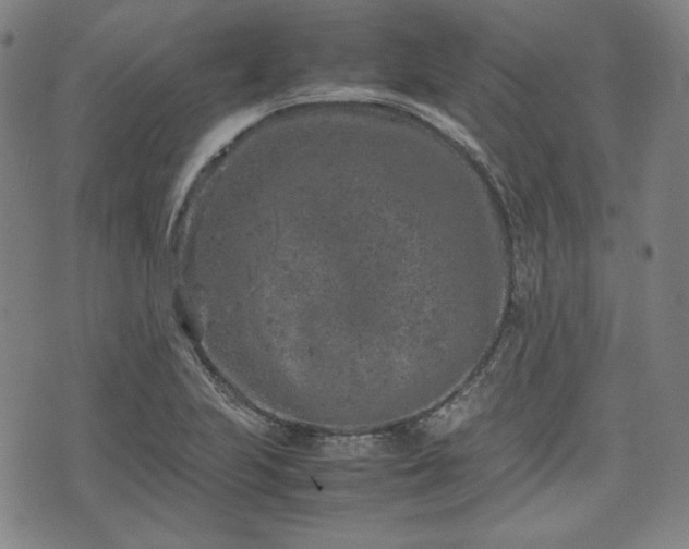 X0000072551223200607211351