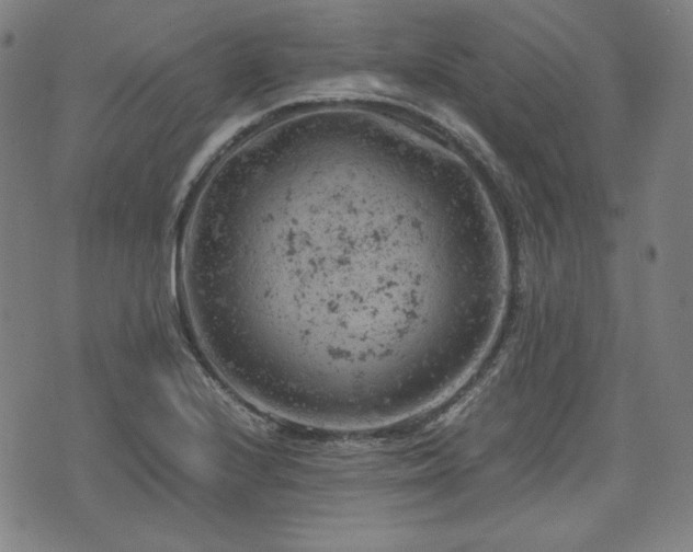 X0000072551224200607211351