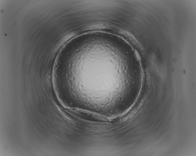 X0000072551225200607211351