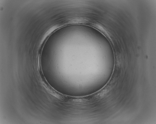 X0000072551227200607211351