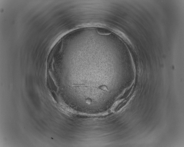 X0000072551228200607211351