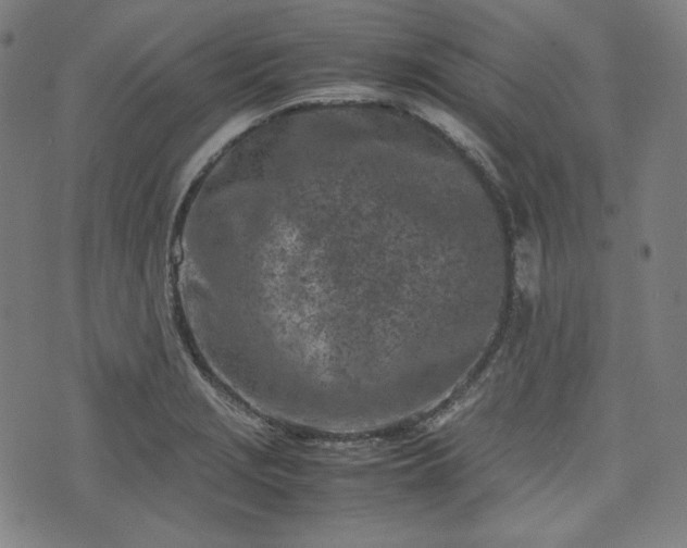 X0000072551229200607211351