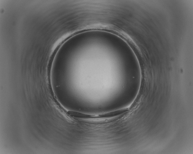 X0000072551230200607211351