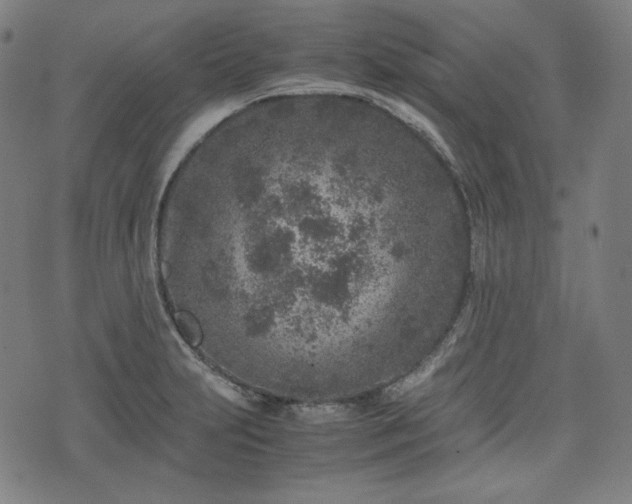 X0000072551231200607211351