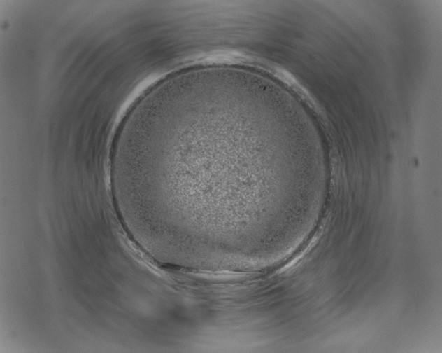 X0000072551232200607211351