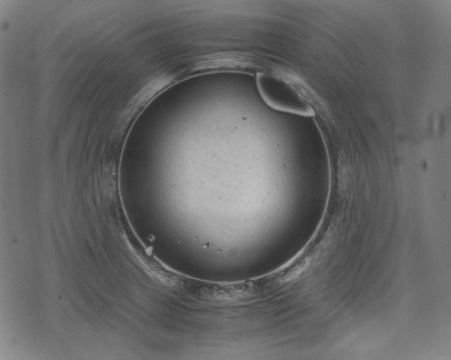 X0000072551233200607211351