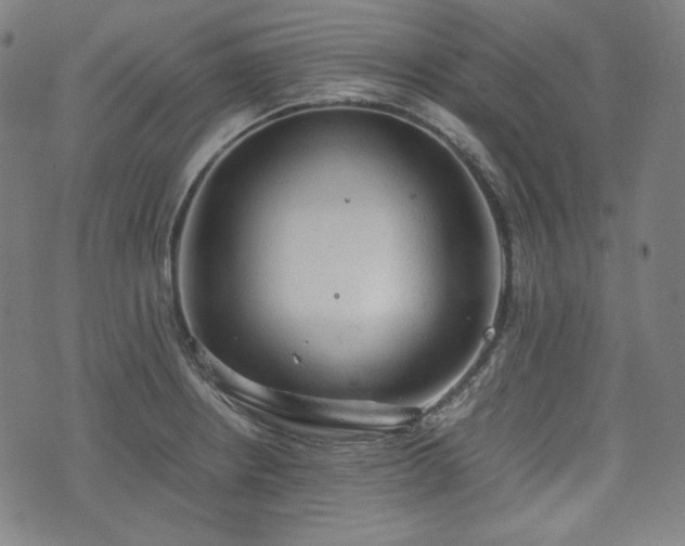 X0000072551234200607211351