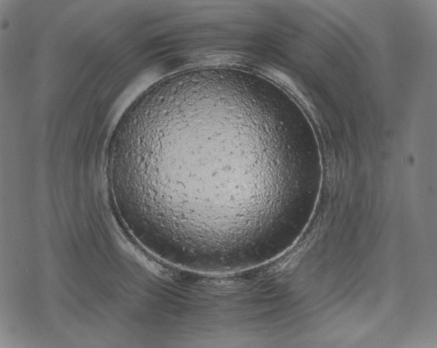 X0000072551235200607211351