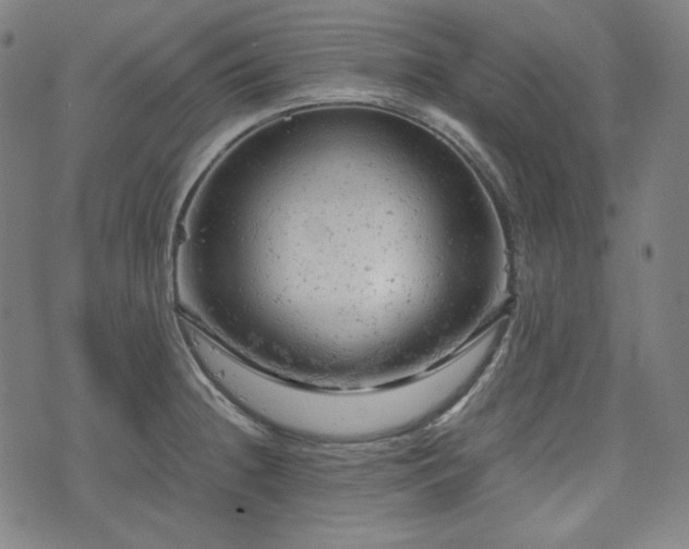 X0000072551236200607211351