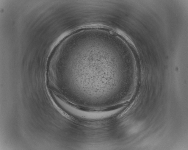 X0000072551237200607211351