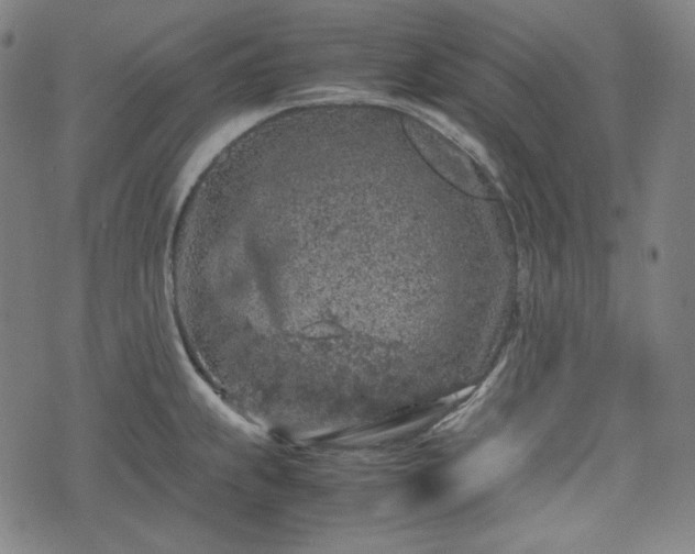 X0000072551239200607211351