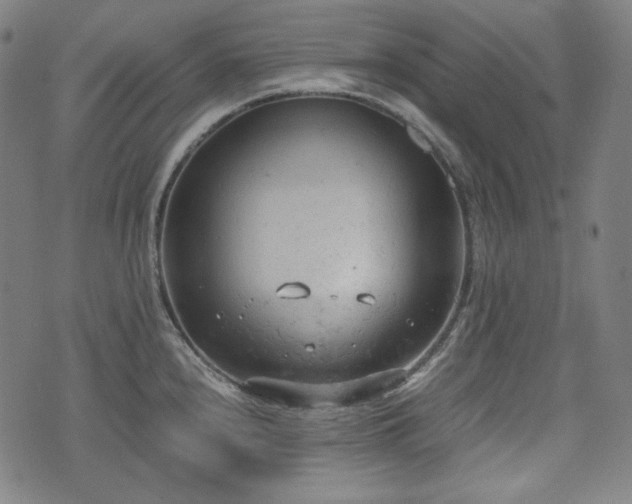 X0000072551240200607211351