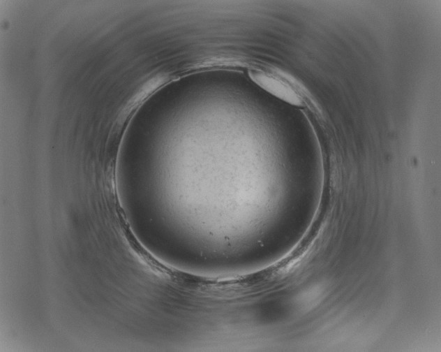 X0000072551241200607211351