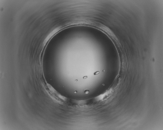 X0000072551242200607211351